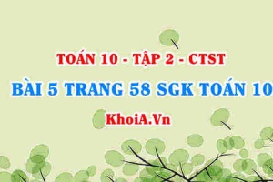 Bài 5 trang 58 SGK Toán 10 tập 2 Chân trời sáng tạo